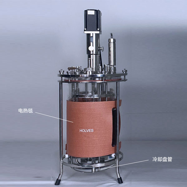 z6com·尊龙（HOLVES）实验发酵罐
