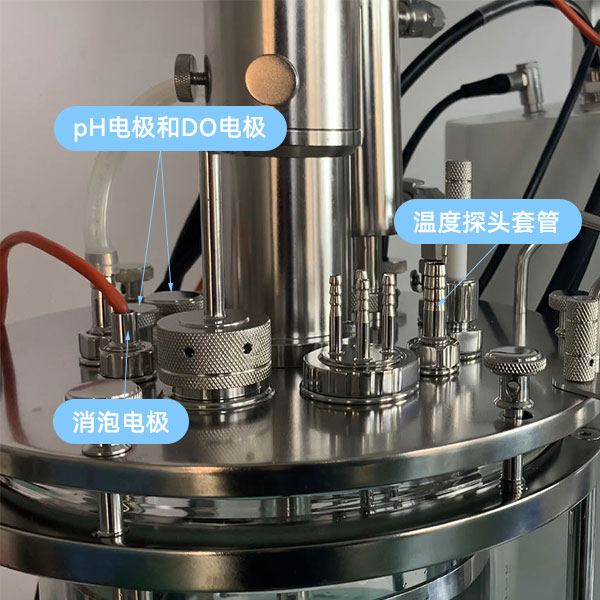 发酵罐传感器 发酵罐传感器